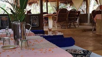 Banyan Tree Yoga