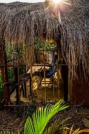 Banyan Tree Yoga