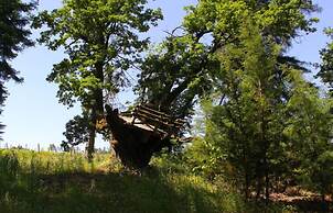 Lousada Country Hotel