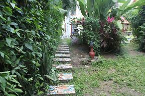 The Lotus Garden