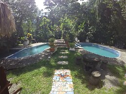 The Lotus Garden