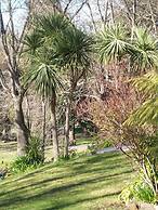 Lucinda B&B