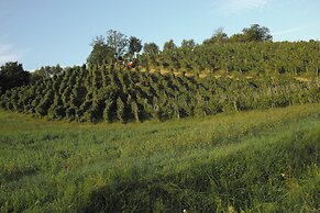 Agriturismo Musignano
