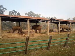 Green Park Chitwan