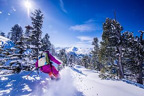 Ski Lodge Reineke