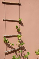 Ecoresort Zefyros