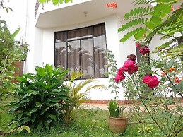El Mirador