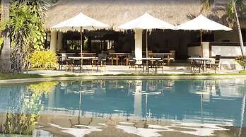 Pulchra - Philippines