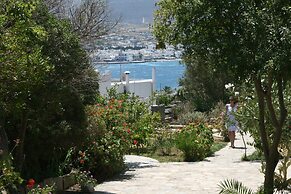 Villas Georgy