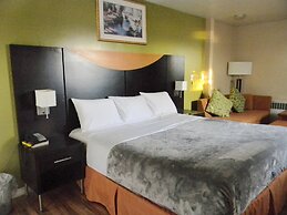 American Plaza Motel