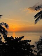 Tropicana Resort