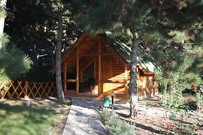 Elki-Palki