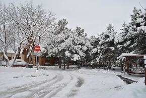 Elki-Palki