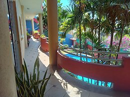 Casa Misifus