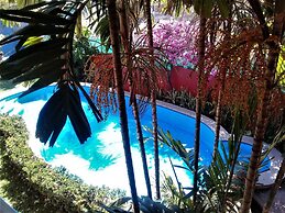Casa Misifus