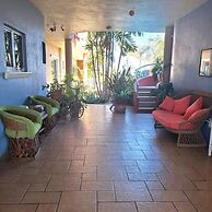 Casa Misifus