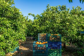 Finca Ca´s Curial
