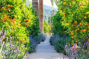Finca Ca´s Curial