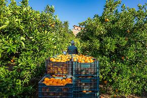 Finca Ca´s Curial