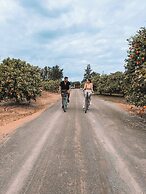 Quinta dos Perfumes