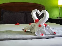 Hotel Green 16