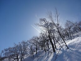 Il Bosco