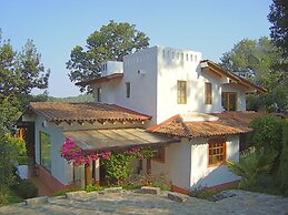 Las Luciérnagas