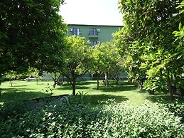 Blue Pine Hotel