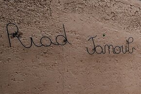 Riad Janoub