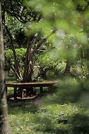 Cassia Cottage Resort and Spa