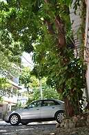 Pacot Breeze