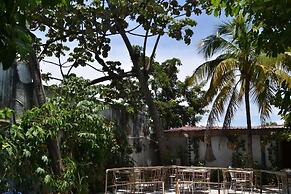 Pacot Breeze