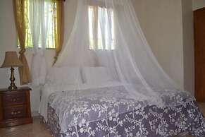 Pacot Breeze