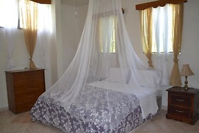 Pacot Breeze