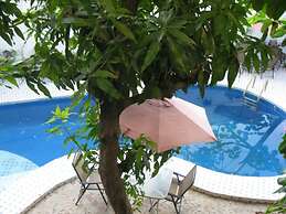 Pacot Breeze