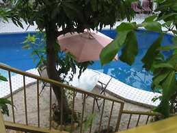 Pacot Breeze