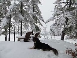 Westwind Inn on the Lake
