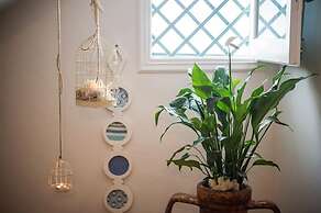 Aphrodite Studios