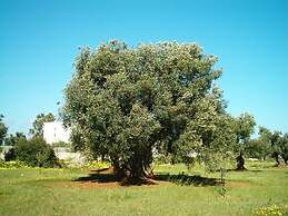 Masseria La Grave