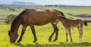 Antbear Drakensberg Lodge