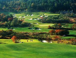 Welli Hilli Park