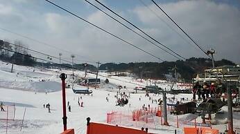 Welli Hilli Park