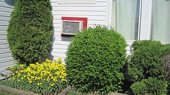 Rosecourt Motel