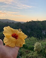 Hibis Resort