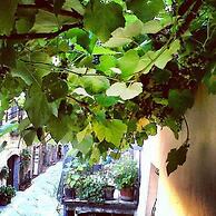 B&B Camere La Vite