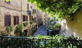 B&B Camere La Vite