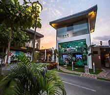 Macaws Ocean Club