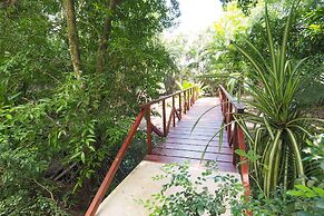Macaws Ocean Club