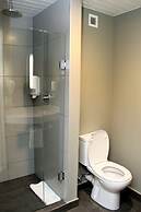 Ibis Los Mochis