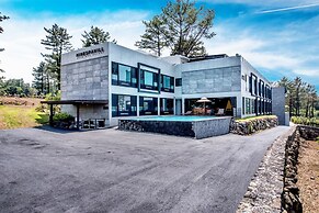 Ninespavill